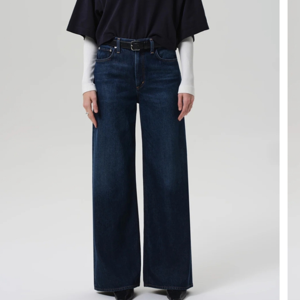 Citizens Of Humanity Premium Vintage Baggy High Rise Wide Leg Jean In Gamut